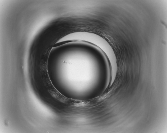 X0000099400430200805081538