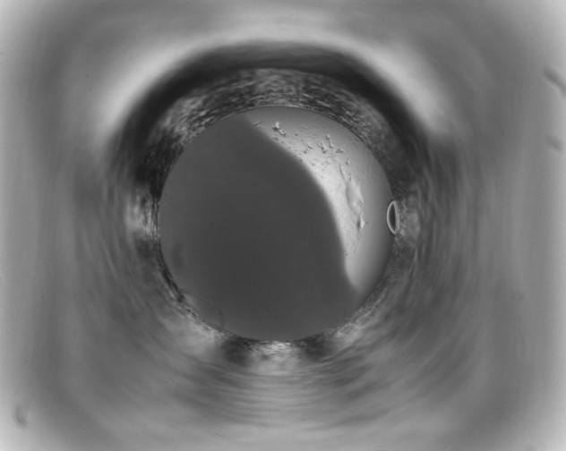 X0000099400431200805081538