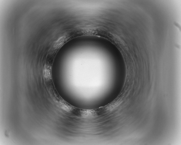 X0000099400432200805081538