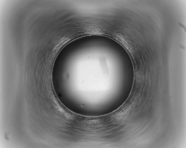 X0000099400433200805081538