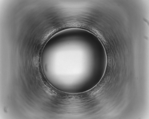 X0000099400434200805081538