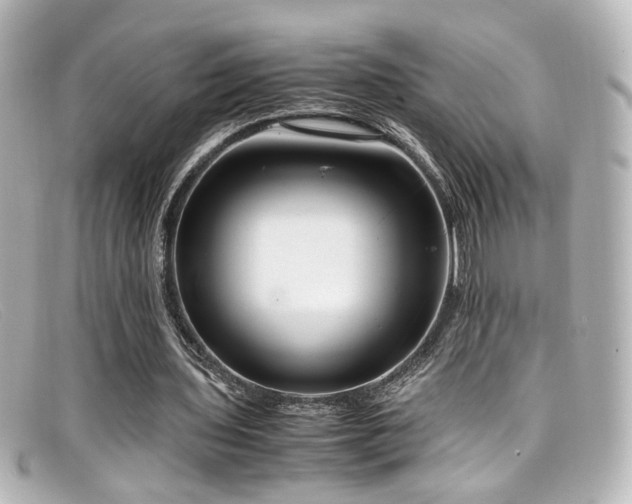 X0000099400435200805081538