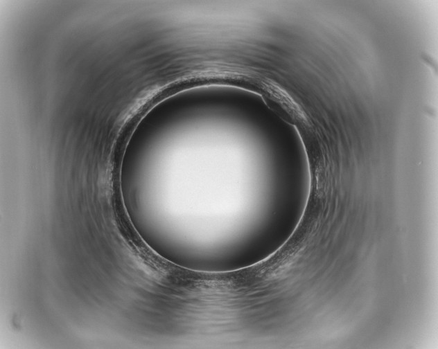 X0000099400436200805081538
