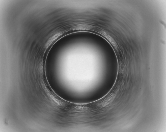 X0000099400437200805081538