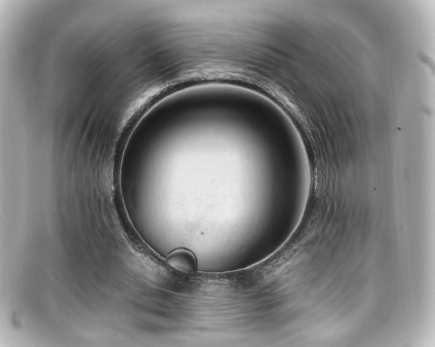 X0000099400438200805081538