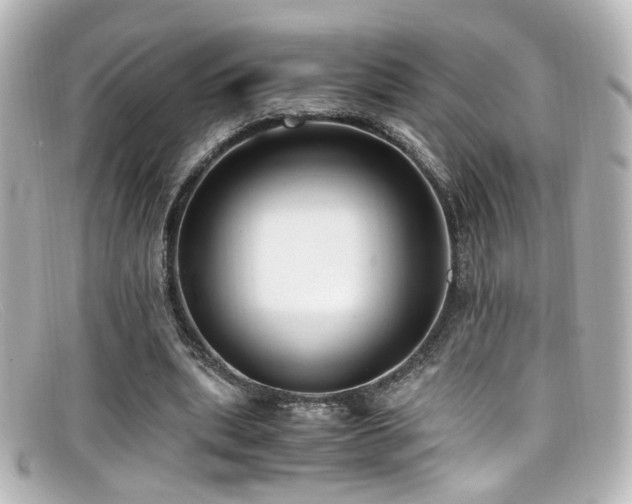 X0000099400439200805081538
