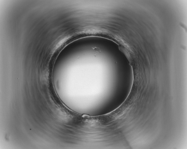X0000099400440200805081538