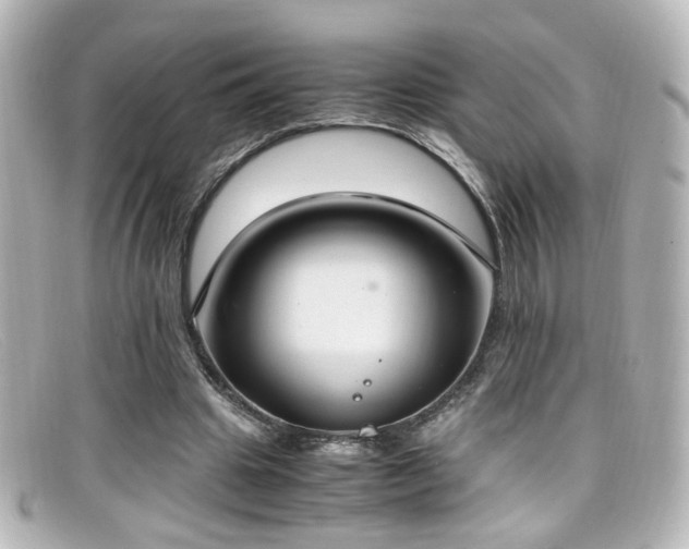 X0000099400441200805081538