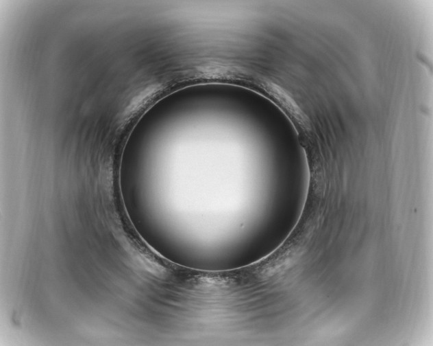 X0000099400442200805081538