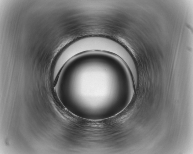 X0000099400443200805081538