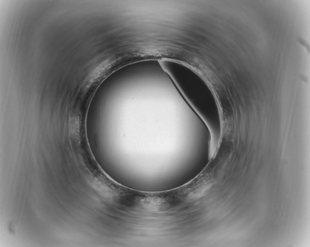 X0000099400444200805081538