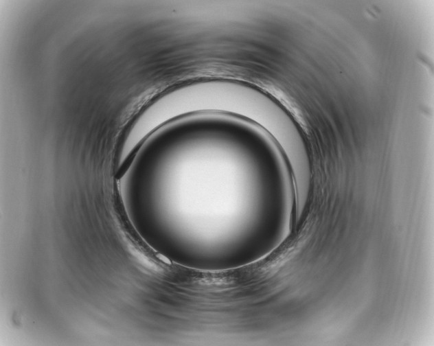 X0000099400445200805081538