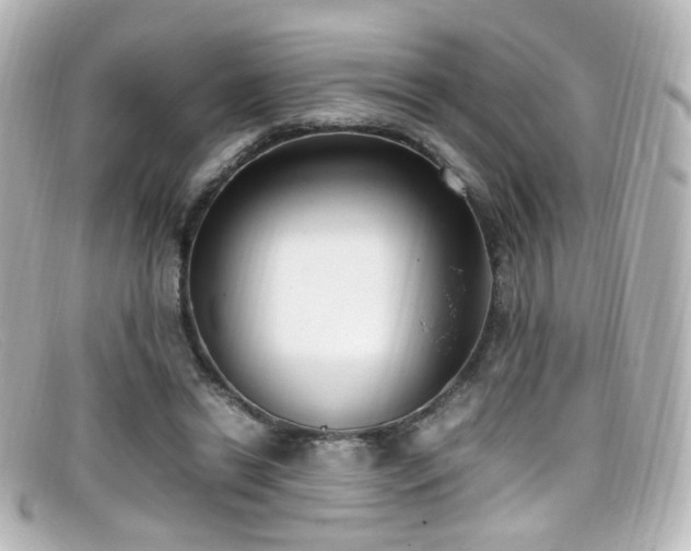 X0000099400446200805081538