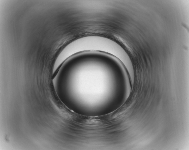 X0000099400451200805081538