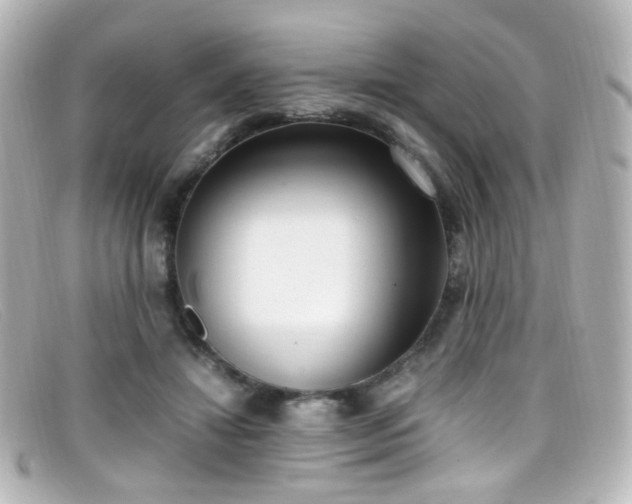 X0000099400452200805081538