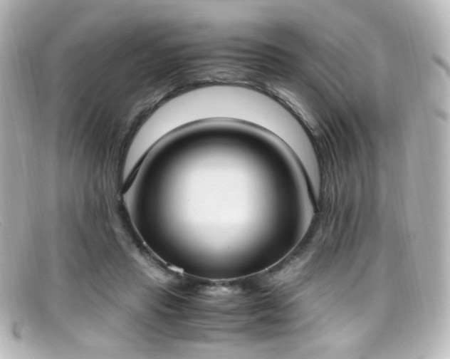 X0000099400453200805081538