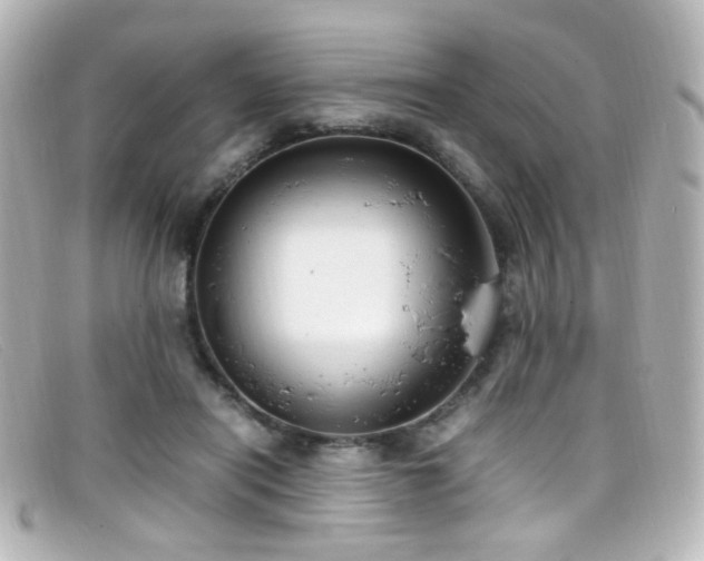 X0000099400454200805081538