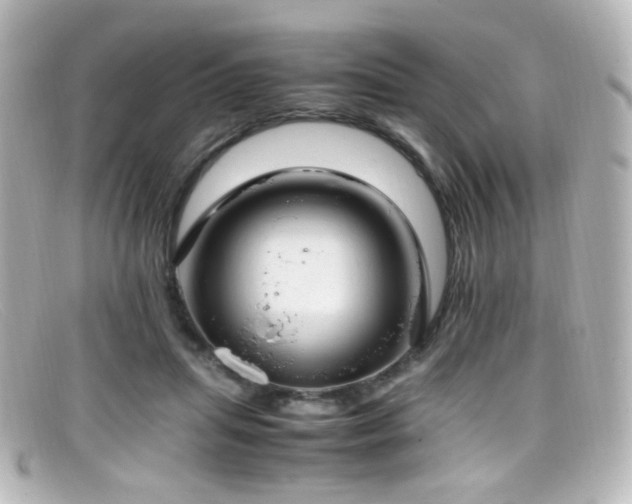X0000099400455200805081538