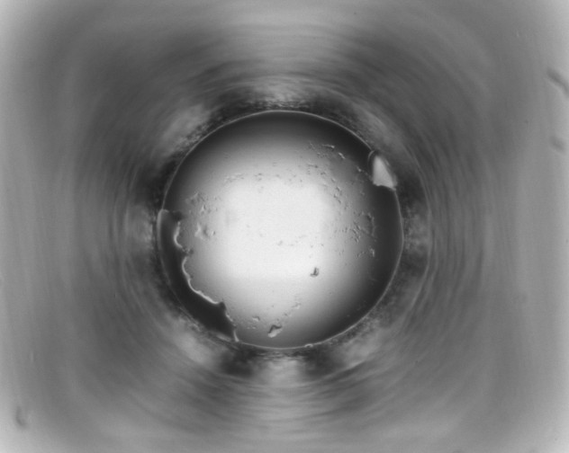 X0000099400456200805081538
