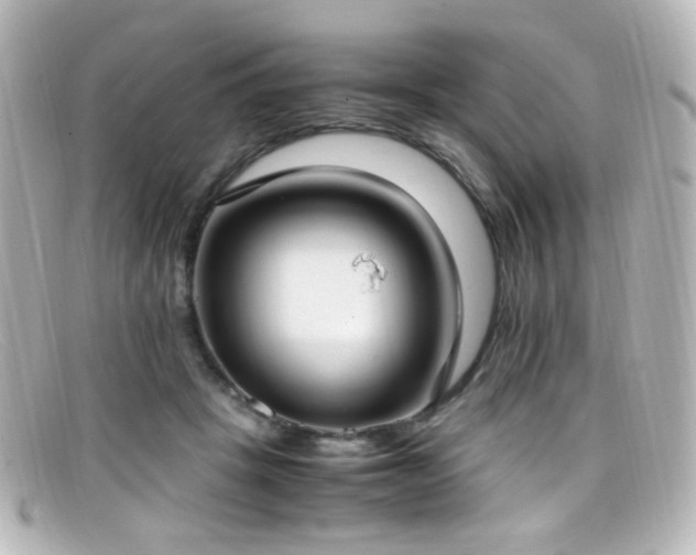 X0000099400457200805081538
