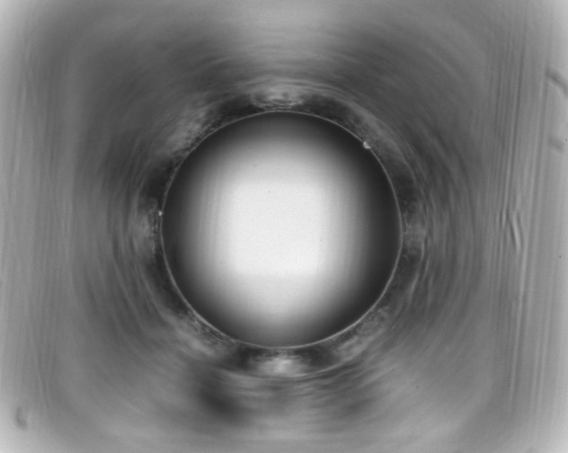 X0000099400460200805081538