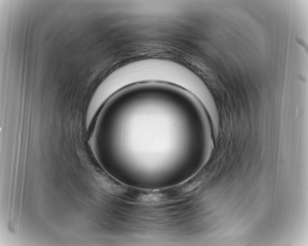 X0000099400461200805081538