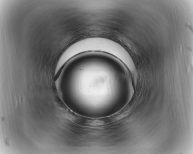 X0000099400463200805081538