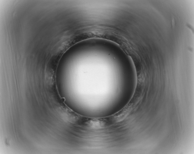X0000099400464200805081538