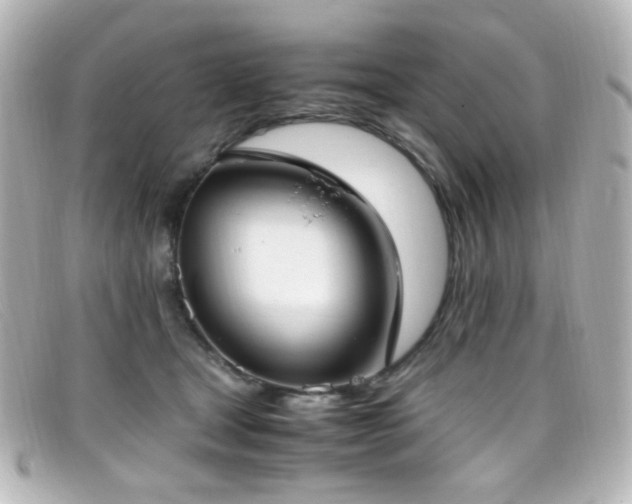 X0000099400465200805081538