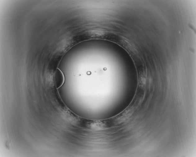 X0000099400468200805081538