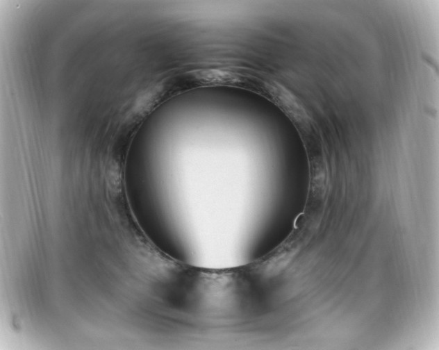 X0000099400469200805081538