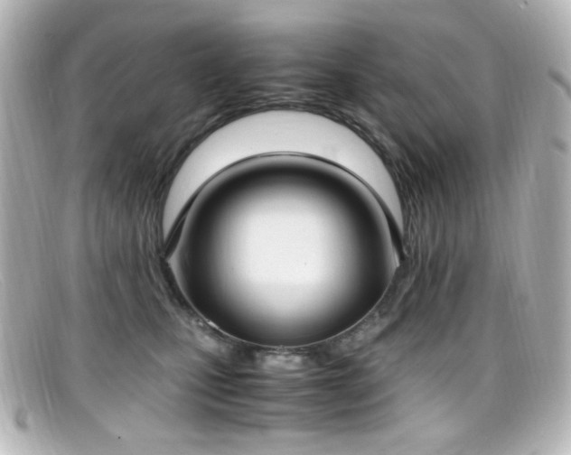 X0000099400471200805081538