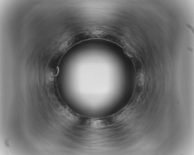 X0000099400472200805081538