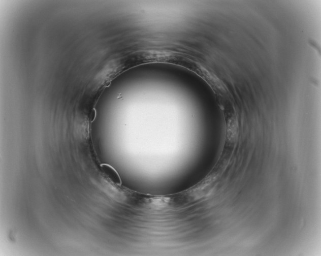 X0000099400474200805081538