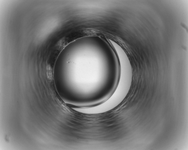 X0000099400477200805081538