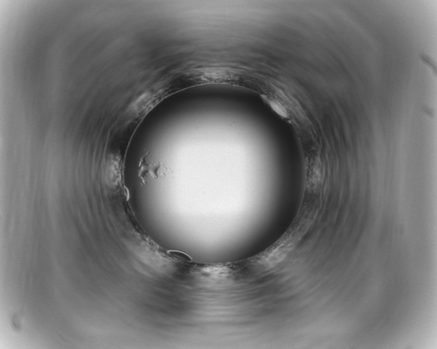 X0000099400478200805081538