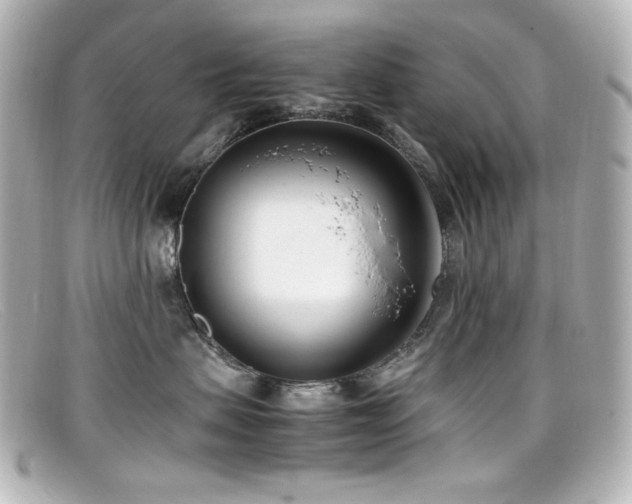 X0000099400479200805081538