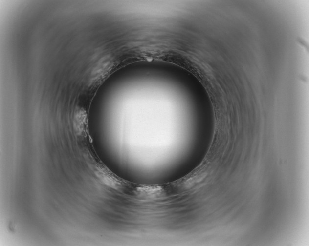 X0000099400480200805081538