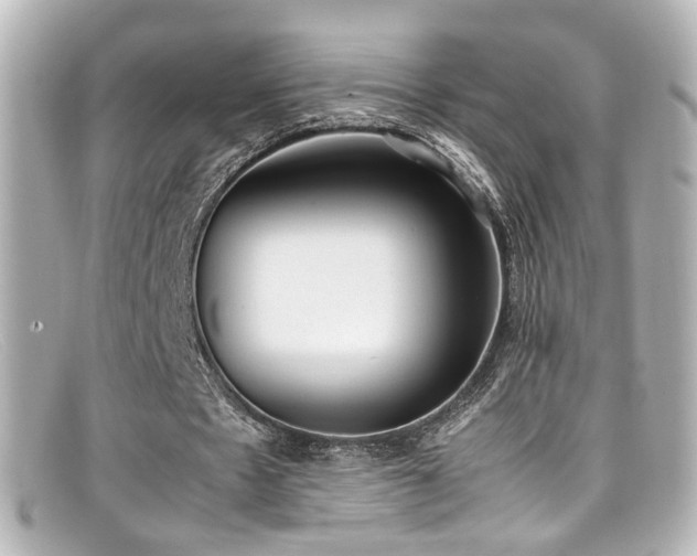 X0000099400481200805081538