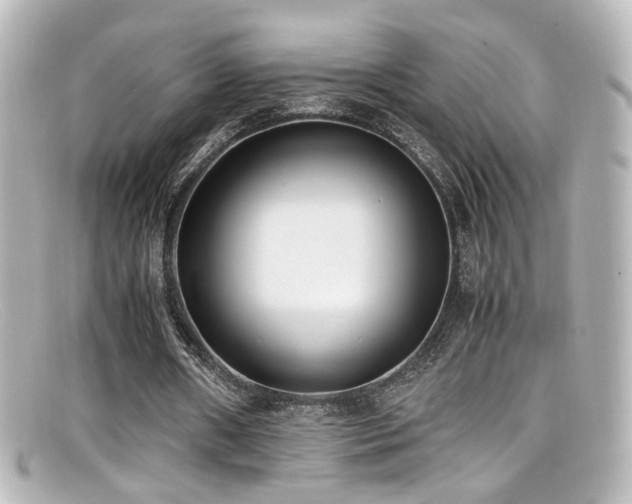 X0000099400482200805081538