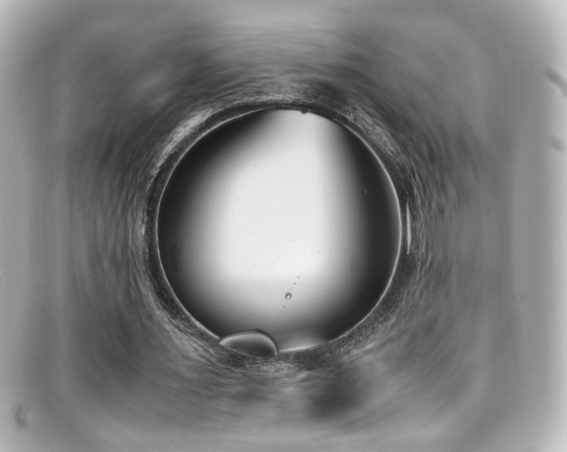 X0000099400483200805081538