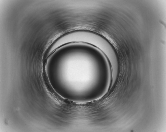 X0000099400486200805081538