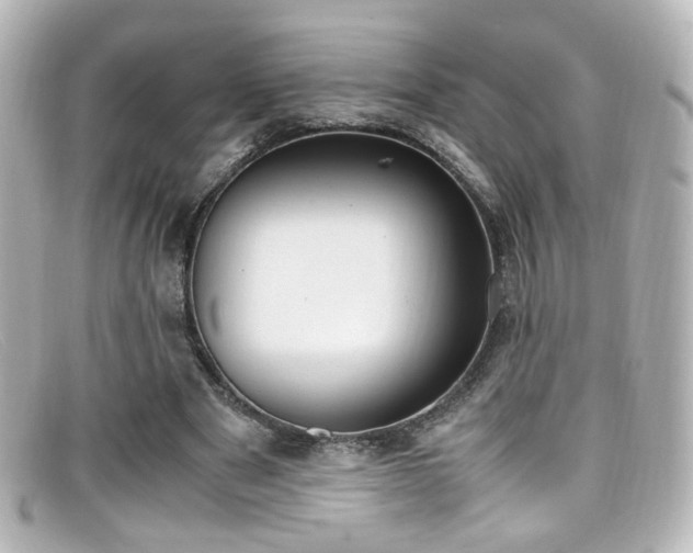 X0000099400489200805081538