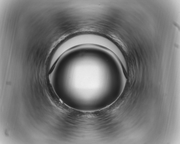 X0000099400492200805081538