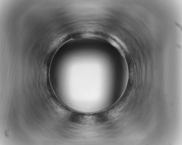 X0000099400493200805081538