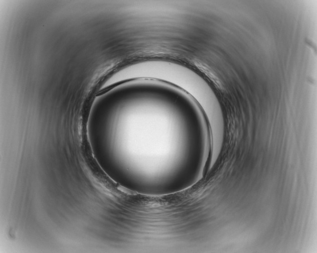 X0000099400494200805081538