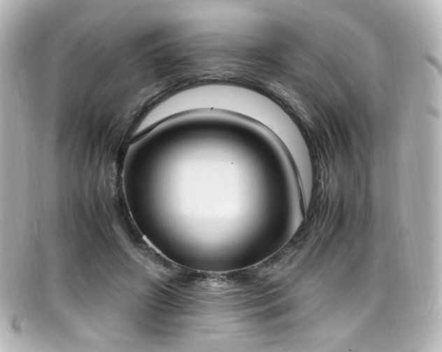 X0000099400498200805081537
