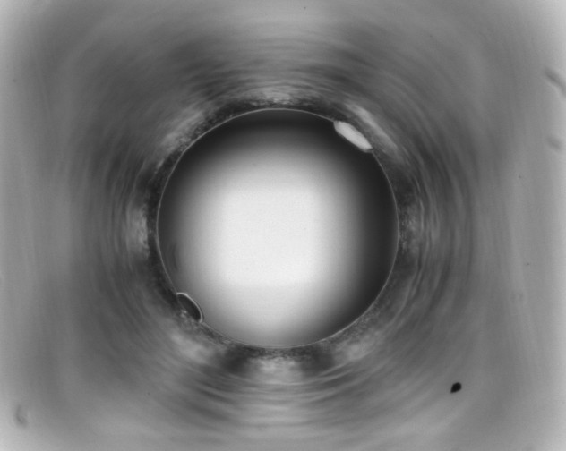X0000099400500200805081537