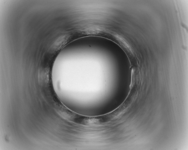 X0000099400501200805081537