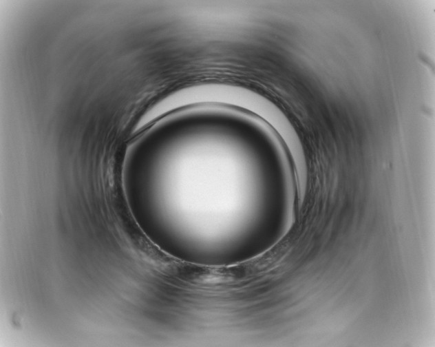 X0000099400504200805081537